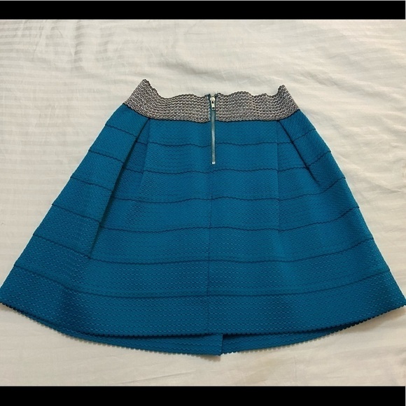 Francescas collection A-line shimmery waist line skirt size large - Picture 5 of 5